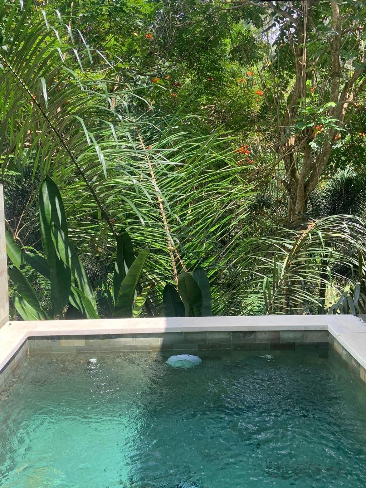 Ubud Hills Villas & Resort Tegallalang  Dış mekan fotoğraf