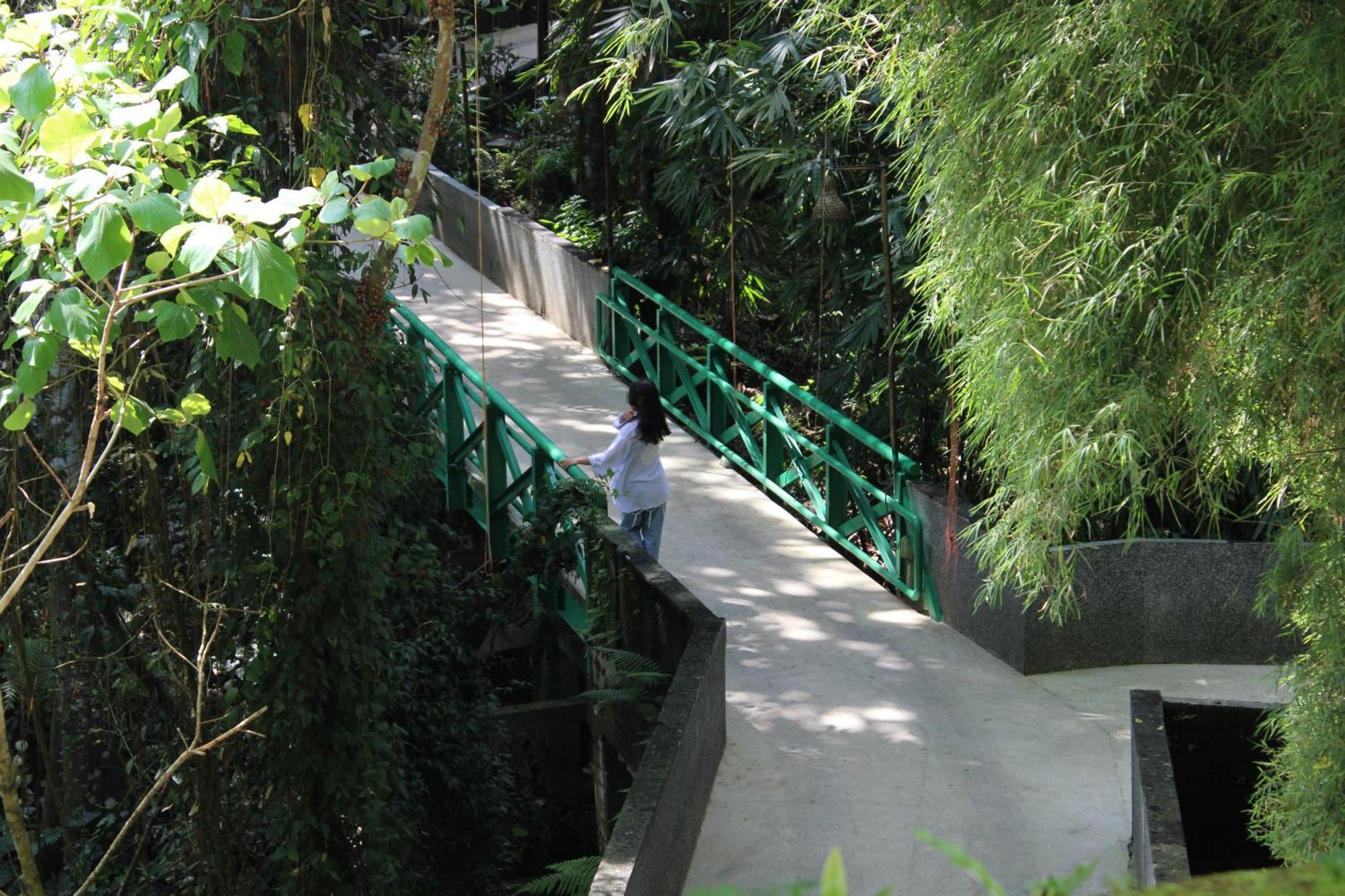 Ubud Hills Villas & Resort Tegallalang  Dış mekan fotoğraf