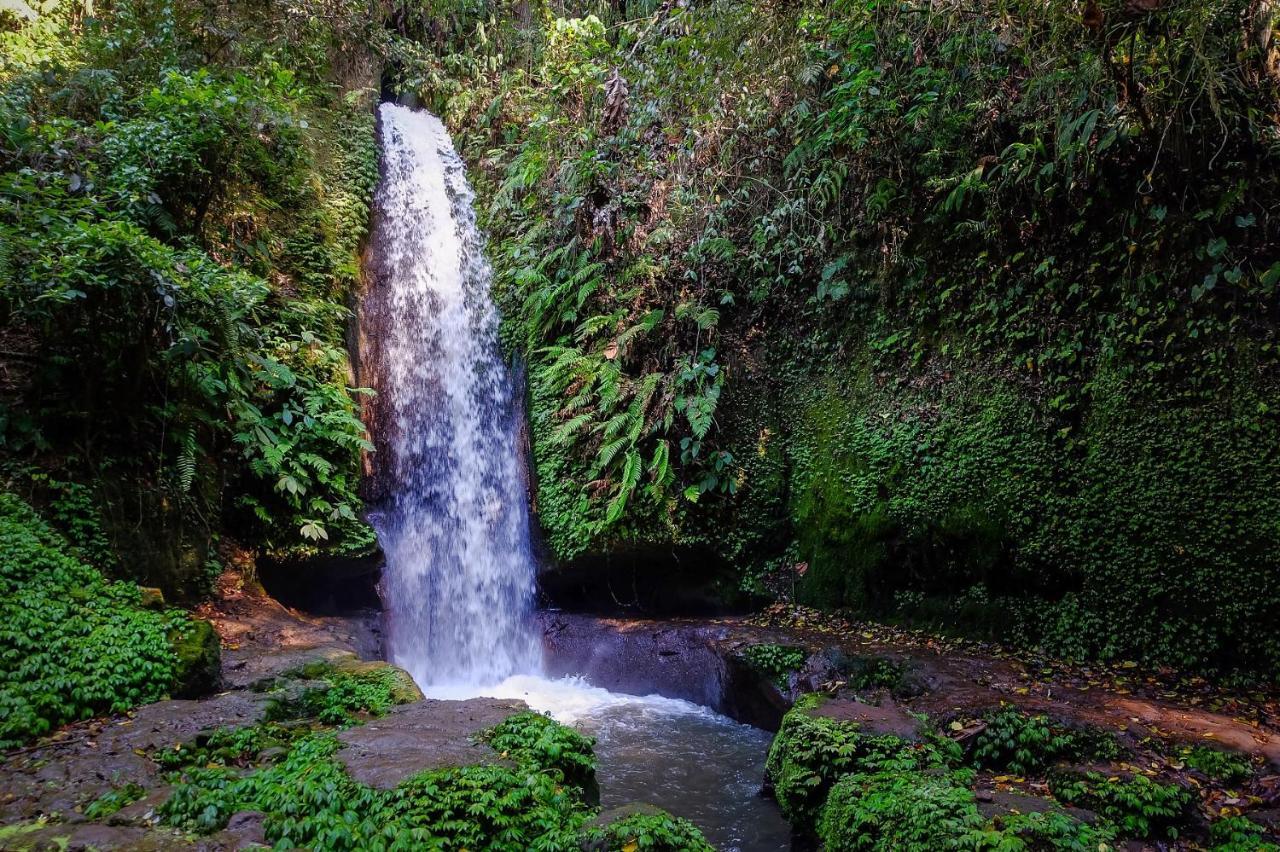 Ubud Hills Villas & Resort Tegallalang  Dış mekan fotoğraf